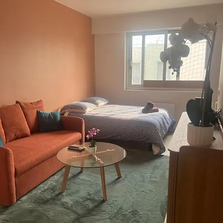 Boulevard Du Roi Rene Apartment Angers