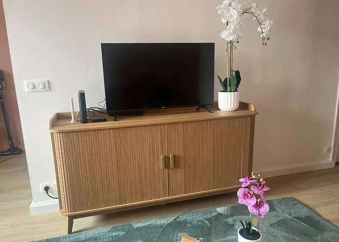 Boulevard Du Roi Rene Апартаменты Анже