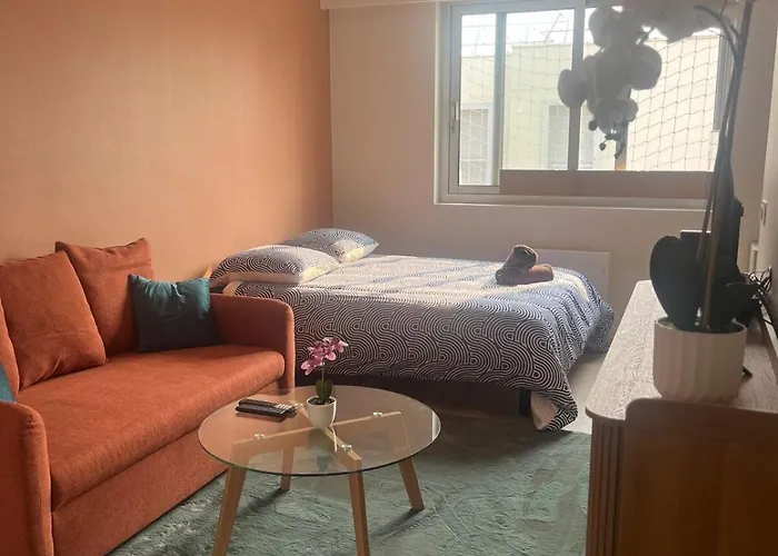 Boulevard Du Roi Rene Apartman Angers